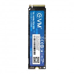 EVM 128GB PCIe NVME SOLID STATE DRIVE (SSD)