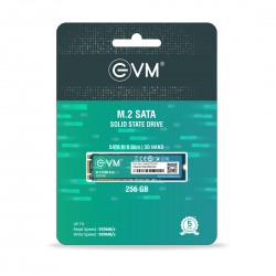 EVM 256GB M.2 2280 SOLID STATE DRIVE (SSD)