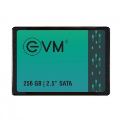 EVM 256GB 2.5" SATA SOLID STATE DRIVE (SSD)