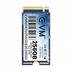 EVM 256GB PCIe NVME 2242 SOLID STATE DRIVE (SSD)